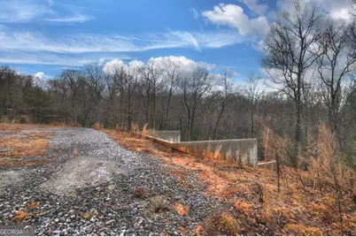 Lot 7, 8 Jennifer Lane #7,8, Mineral Bluff, GA 30559 - Photo 7