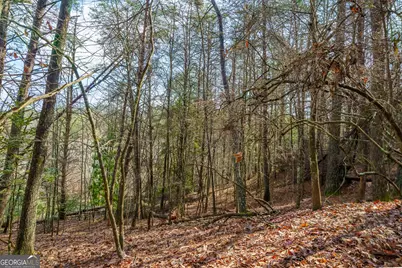 00 Thurman Street, McCaysville, GA 30555 - Photo 21