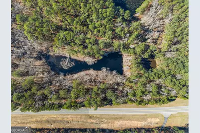 22701 S Highway 129, Cobbtown, GA 30420 - Photo 5