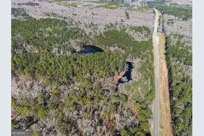 22701 S Highway 129, Cobbtown, GA 30420 - Photo 7