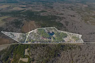 22701 S Hwy 129, Cobbtown, GA 30420 - Photo 1