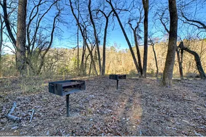 315 River Retreat Road #9, Blue Ridge, GA 30513 - Photo 43