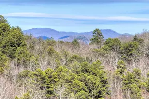 315 River Retreat Rd, Blue Ridge, GA 30513 - Photo 5