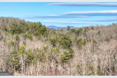 315 River Retreat Road #9, Blue Ridge, GA 30513 - Photo 57
