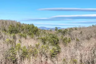 315 River Retreat Rd, Blue Ridge, GA 30513 - Photo 57