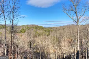 315 River Retreat Rd, Blue Ridge, GA 30513 - Photo 57