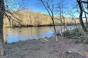 315 River Retreat Rd, Blue Ridge, GA 30513 - Photo 47