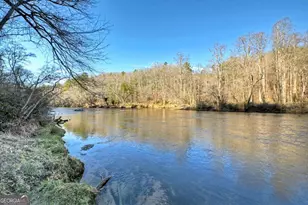 315 River Retreat Rd, Blue Ridge, GA 30513 - Photo 49