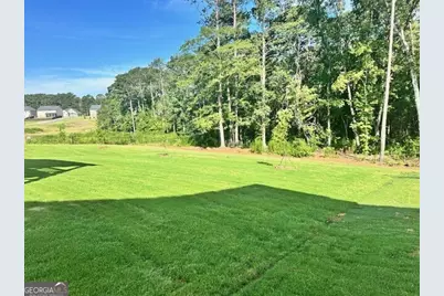 1780 Goodwin, Hampton, GA 30228 - Photo 47