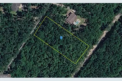 1545 Delegal Drive, Townsend, GA 31331 - Photo 1