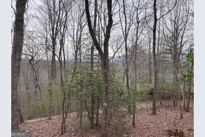726 Cherry Lake Drive, Cherrylog, GA 30522 - Photo 17