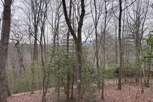 726 Cherry Lake Drive, Cherrylog, GA 30522 - Photo 17