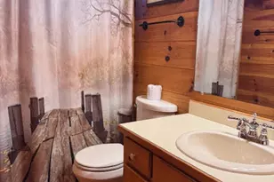 726 Cherry Lake Drive, Cherrylog, GA 30522 - Photo 9