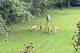 675 McGee Bend Rd SW, Cave Spring, GA 30124 - Photo 67