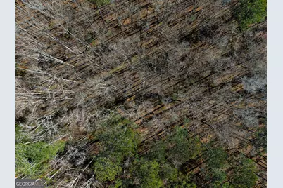 0 Hyannis Drive, Jackson, GA 30233 - Photo 7