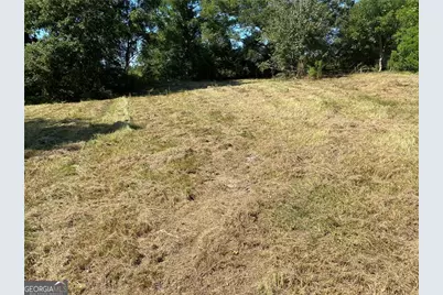 2363 Alvin Joiner Road, Dublin, GA 31021 - Photo 5