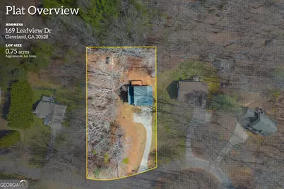 169 Leafview Drive, Cleveland, GA 30528 - Photo 61