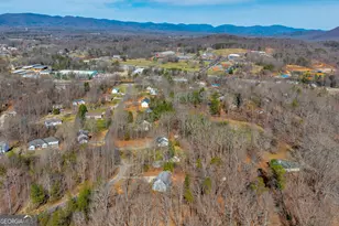 169 Leafview Dr, Cleveland, GA 30528 - Photo 67