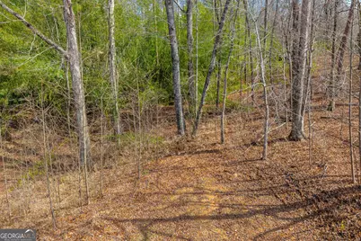 169 Leafview Drive, Cleveland, GA 30528 - Photo 7