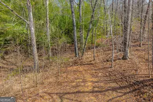 169 Leafview Dr, Cleveland, GA 30528 - Photo 7