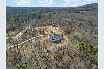 433 Old Roanoke Road, Bowdon, GA 30108 - Photo 7