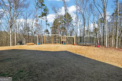 433 Old Roanoke Road, Bowdon, GA 30108 - Photo 43