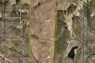 0000 Hwy 18, Zebulon, GA 30295 - Photo 1