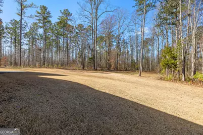 165 Durham Estates Drive, Sharpsburg, GA 30277 - Photo 47