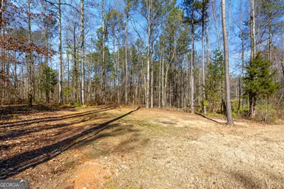 165 Durham Estates Drive, Sharpsburg, GA 30277 - Photo 49