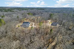 433 Old Roanoke Rd, Bowdon, GA 30108 - Photo 49