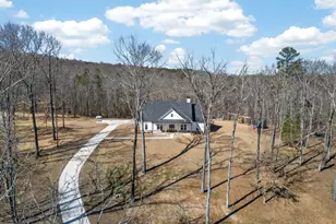 433 Old Roanoke Rd, Bowdon, GA 30108 - Photo 47