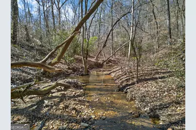 433 Old Roanoke Road, Bowdon, GA 30108 - Photo 53