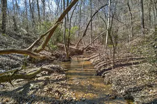 433 Old Roanoke Rd, Bowdon, GA 30108 - Photo 53