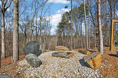 433 Old Roanoke Road, Bowdon, GA 30108 - Photo 39