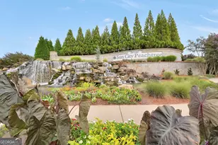 154 Begonia Ct, Griffin, GA 30223 - Photo 55