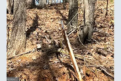 630 N Armor Way, Ellijay, GA 30540 - Photo 5