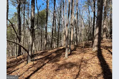 630 N Armor Way, Ellijay, GA 30540 - Photo 11