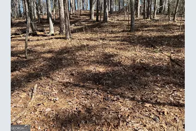 630 N Armor Way, Ellijay, GA 30540 - Photo 1