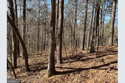 630 N Armor Way, Ellijay, GA 30540 - Photo 7