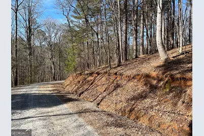 630 N Armor Way, Ellijay, GA 30540 - Photo 3