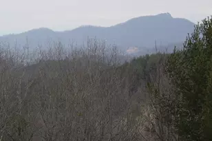 4184 Ridgecrest Trail, Hiawassee, GA 30546 - Photo 9