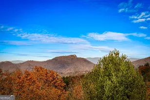 4184 Ridgecrest Trail, Hiawassee, GA 30546 - Photo 57