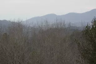 4184 Ridgecrest Trail, Hiawassee, GA 30546 - Photo 11