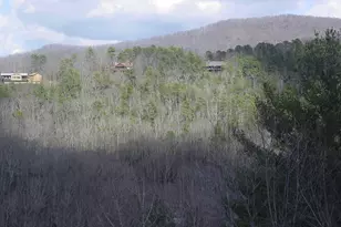 4184 Ridgecrest Trail, Hiawassee, GA 30546 - Photo 43