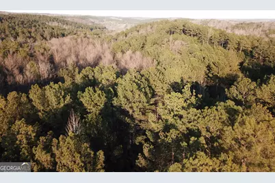 0 - Tract 1 Mt Zion Church Road, Whitesburg, GA 30185 - Photo 15