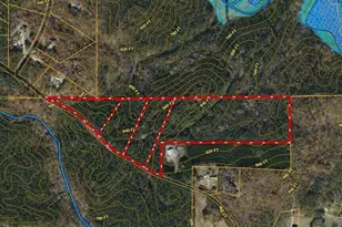 0 - Tract 1 Mt Zion Church Rd, Whitesburg, GA 30185 - Photo 1