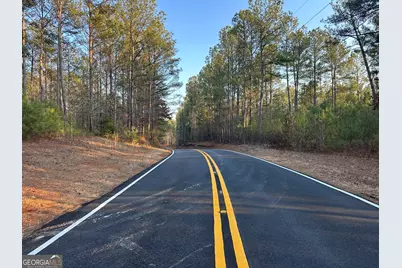 0 - Tract 1 Mt Zion Church Road, Whitesburg, GA 30185 - Photo 19