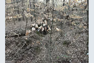 0 - Tract 1 Mt Zion Church Road, Whitesburg, GA 30185 - Photo 25