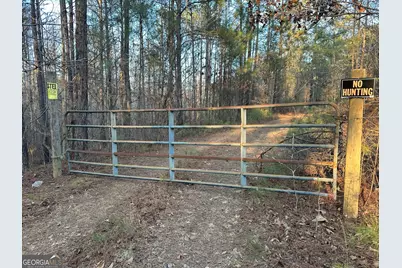 0 - Tract 1 Mt Zion Church Road, Whitesburg, GA 30185 - Photo 17