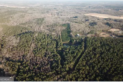 0 - Tract 1 Mt Zion Church Road, Whitesburg, GA 30185 - Photo 11